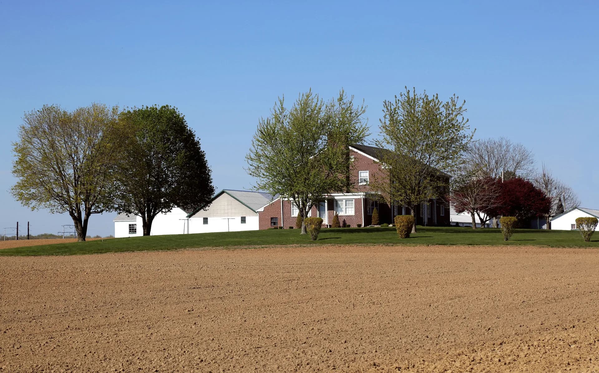 BookNoFees-voorbeeldbeeld: Plattelandse huis tussen bome en uitgestrekte landerye