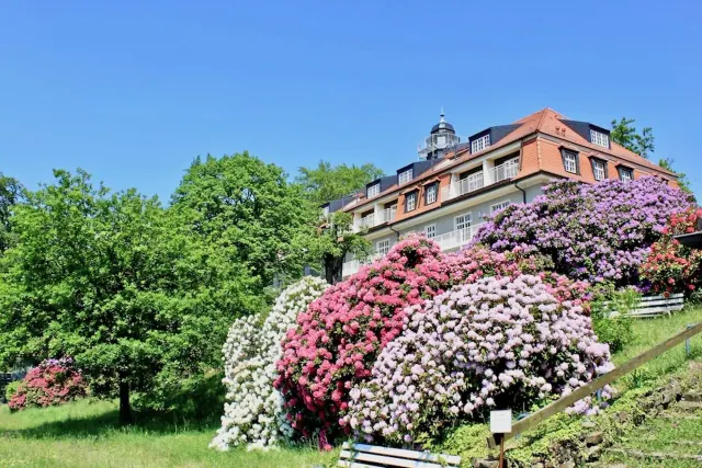 BookNoFees: Vakansiewoonstel Natuur en Kuns, Dresden, Saksiese Switserland – Dresden