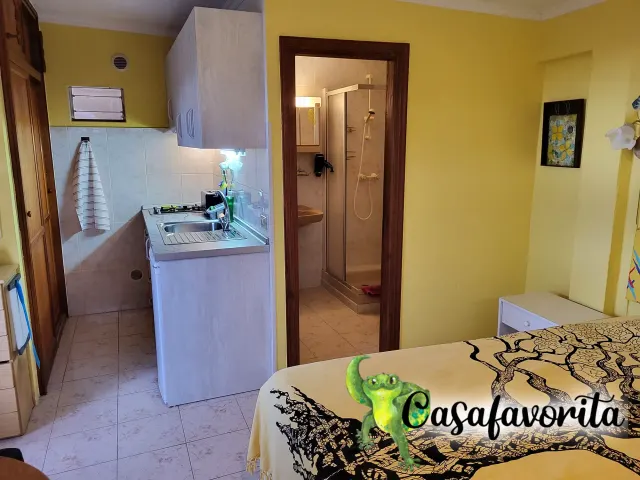 BookNoFees: vakansiehuis in Buen Paso, Tenerife, Spanje – Studio-woonstel met kombuisie, bed en uitsig na badkamer