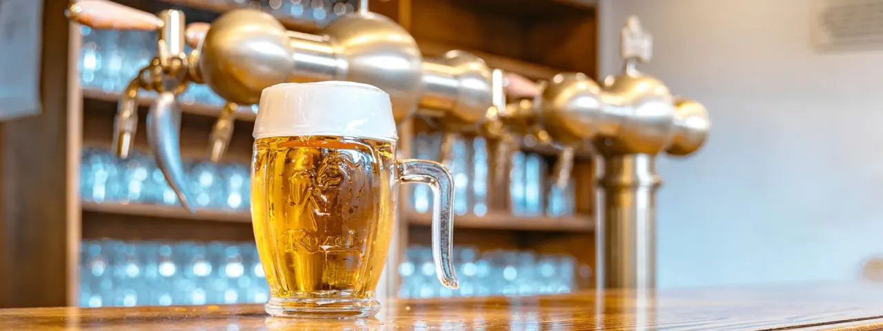 BookNoFees: Restaurant – Kozel u Bohemky – Prague – Kozel at Bohemka, photo 1