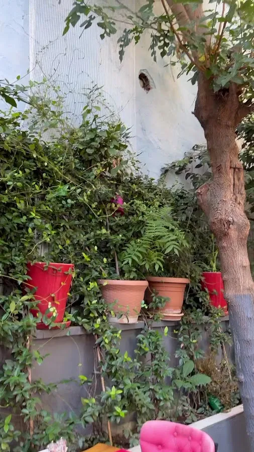 BookNoFees: Restaurant – Hidden Garden Sultanat – Istanbul – Hidden Garden Sultanate, photo 3
