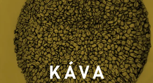 BookNoFees: Café – Ala Coffee – Prague – Go to Coffee, photo 2