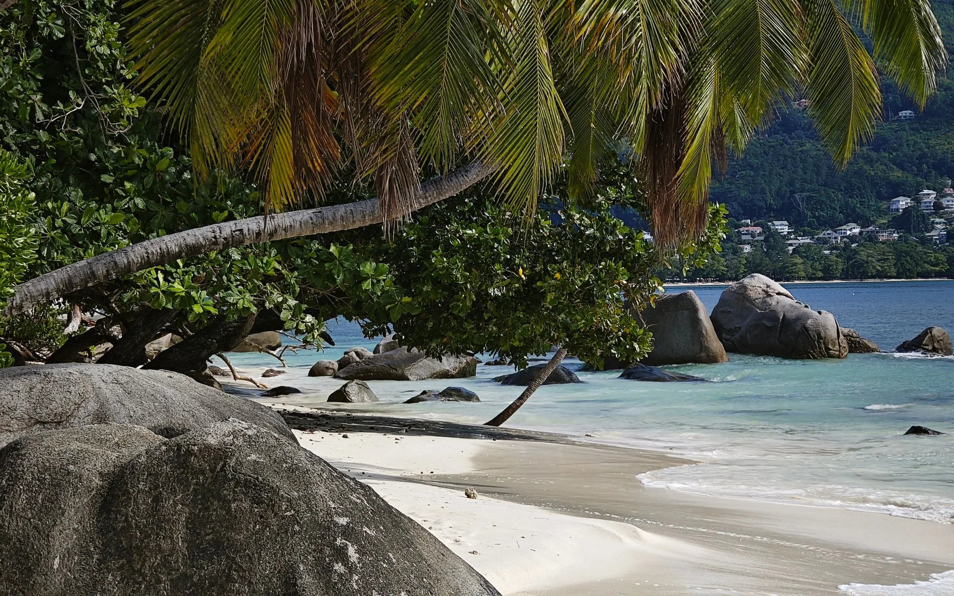 Palmbome en rotse op Beau Vallon-strand